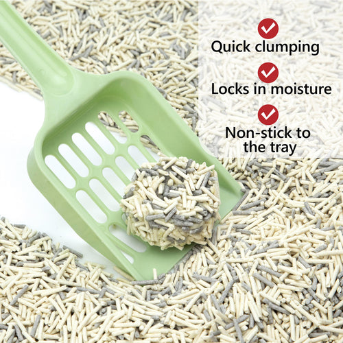 Green scoop lifting a firm clump out of PawCute tofu cat litter — quick clumping, locks in moisture, non-stick to the tray